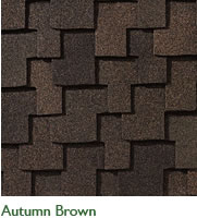 Autumn Brown Swatch