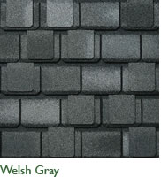 Welsh Gray Image