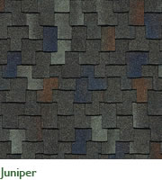 Juniper Image