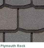 Plymouth Rock