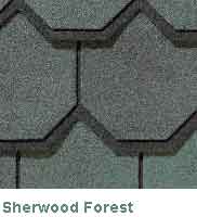 Sherwood Forest