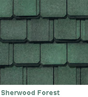 Sherwood Forest